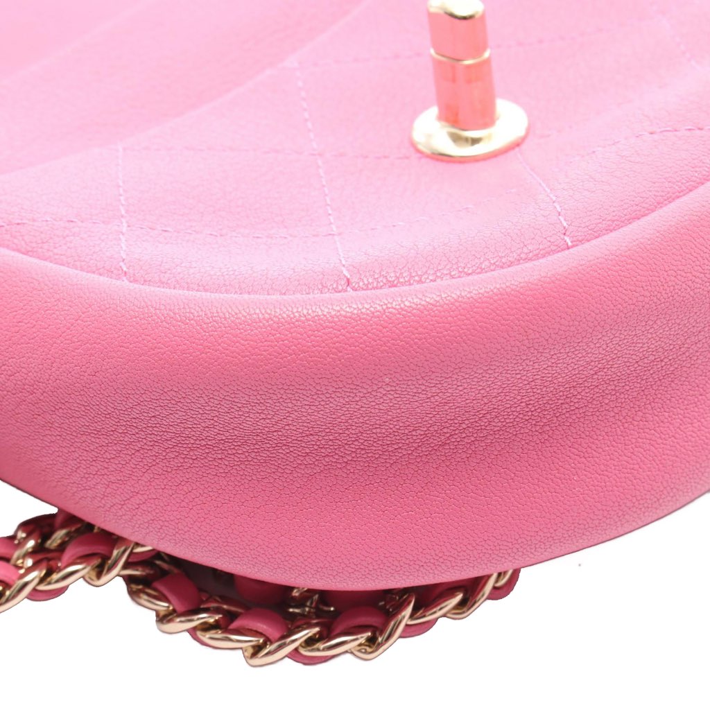 Chanel Stitched Goatskin Casual Trip Flap - 4