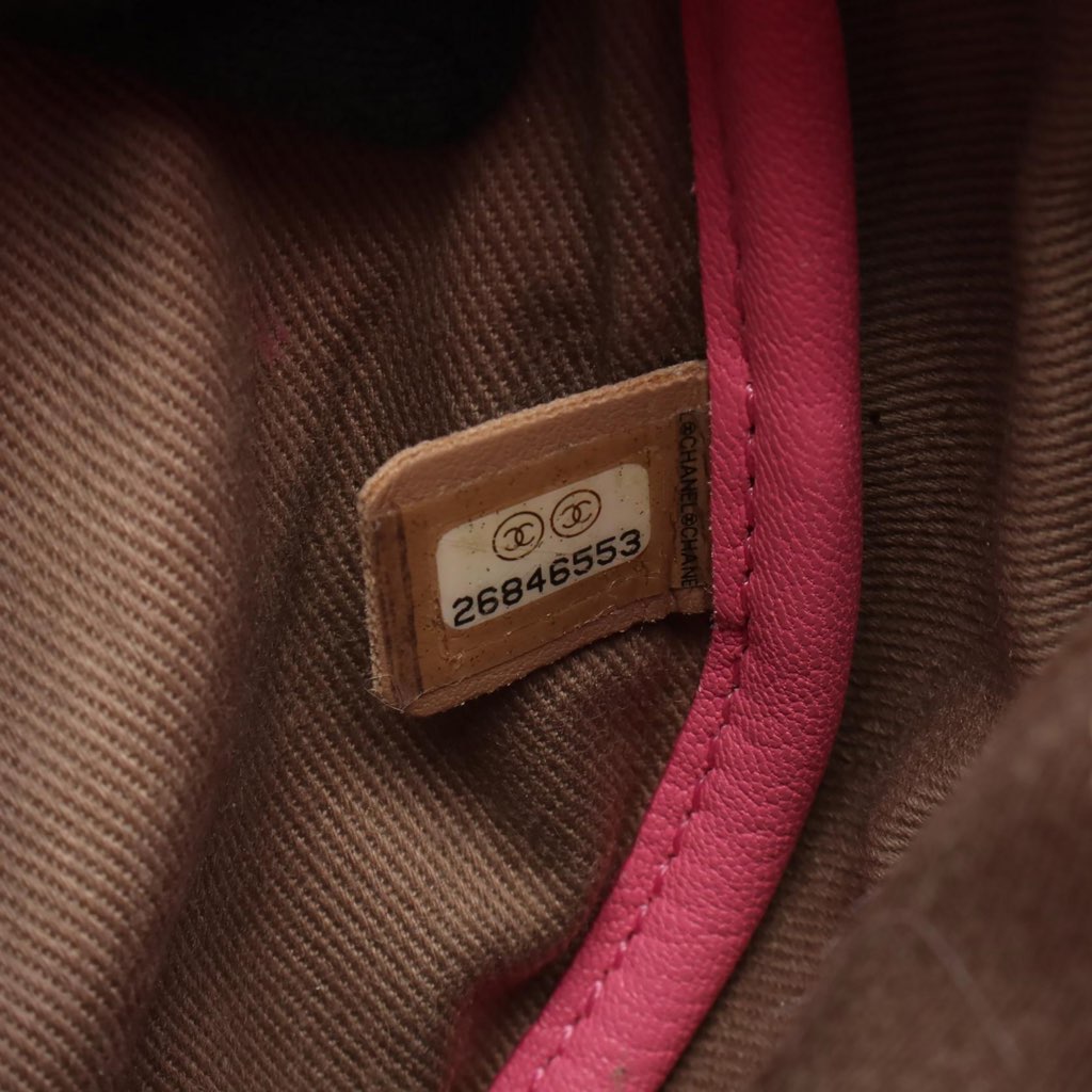 Chanel Stitched Goatskin Casual Trip Flap - 5