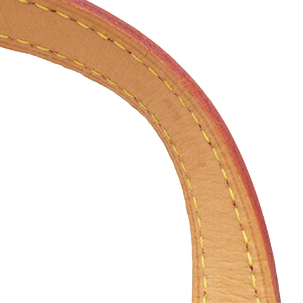 Louis Vuitton Monogram Vernis Bellevue PM - Detail 1