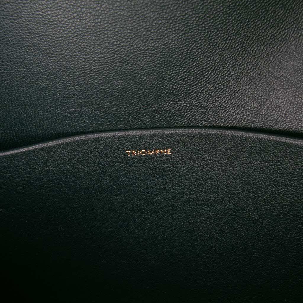 Celine Classique Shiny Calfskin Triomphe Crossbody - Detail 1