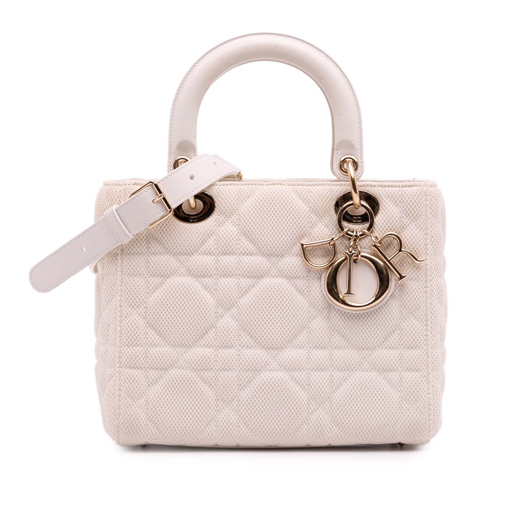 Dior Medium Mesh Cannage Lady Dior