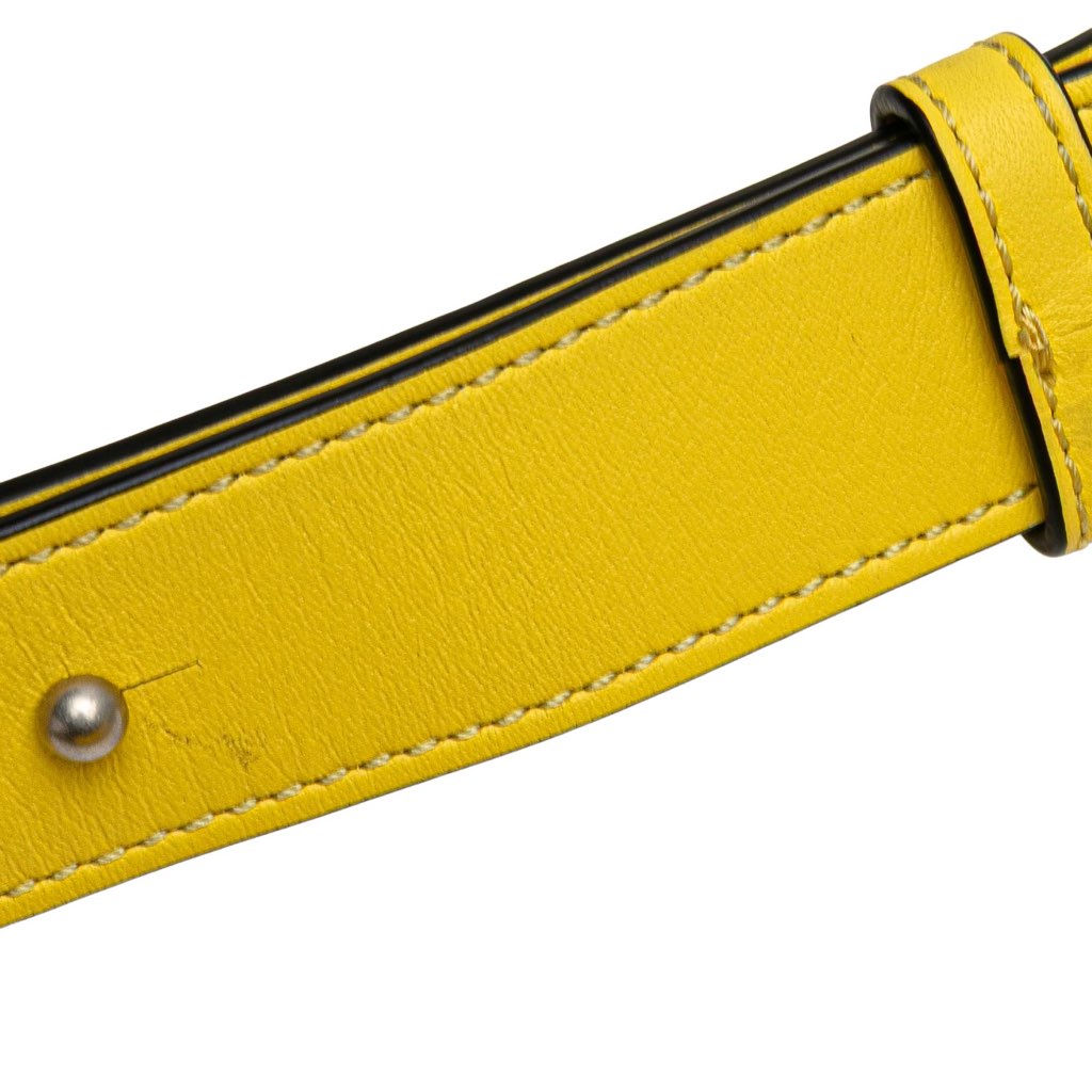 Loewe Mini Calfskin Puzzle Bumbag - Image 12