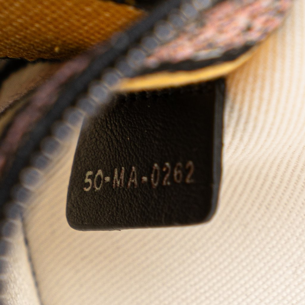 Dior Medium Canvas Embroidered Ciel De Reve Lady D Lite - 5