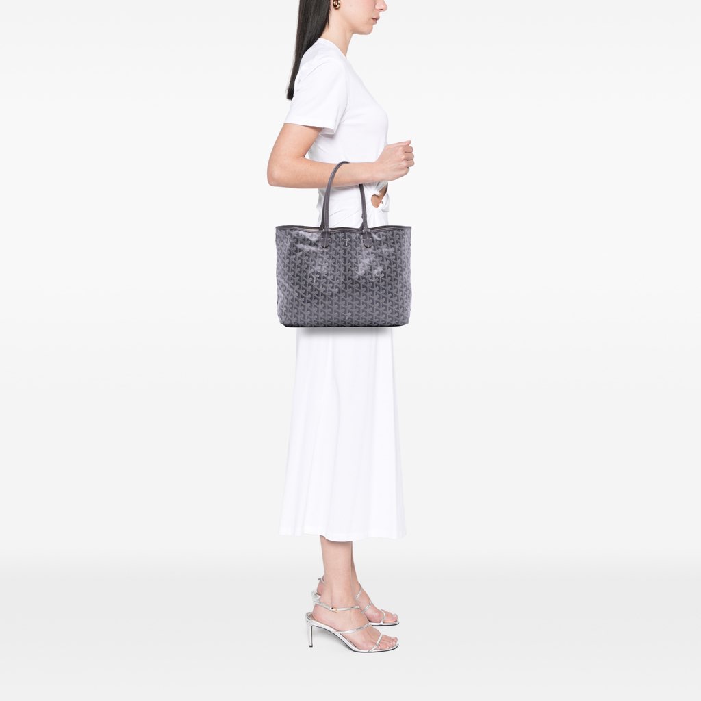 Goyard Goyardine Saint Louis PM - Image 10