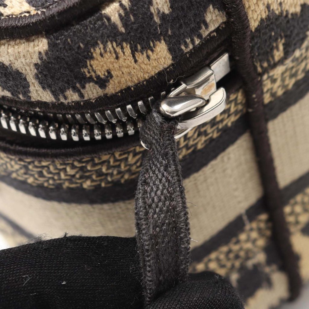 Dior Mizza Small Embroidered Canvas Diortravel Leopard Vanity Case - Detail 2