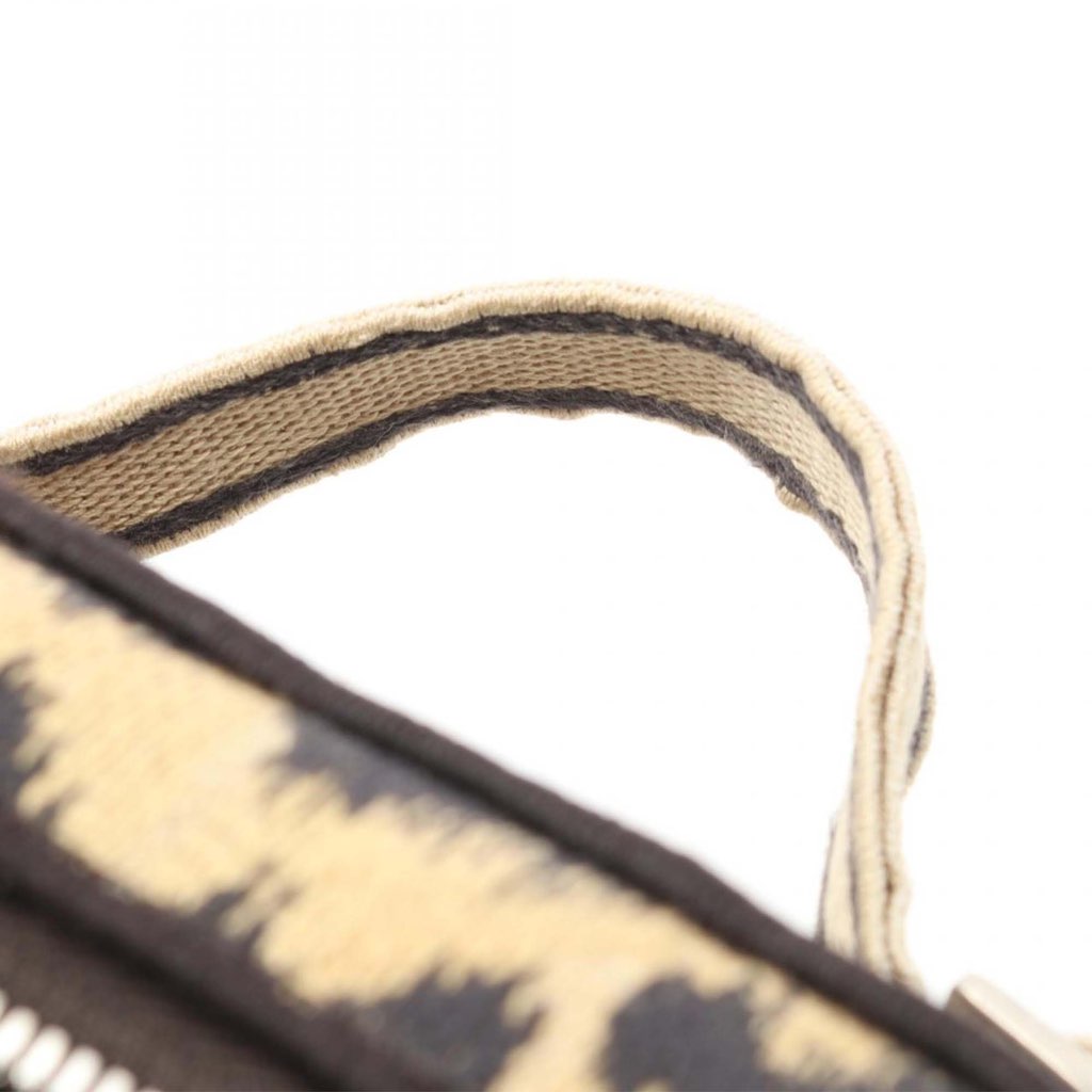 Dior Mizza Small Embroidered Canvas Diortravel Leopard Vanity Case - Image 10