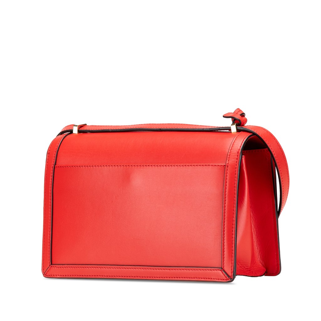 Loewe Medium Leather Barcelona Crossbody - Back view