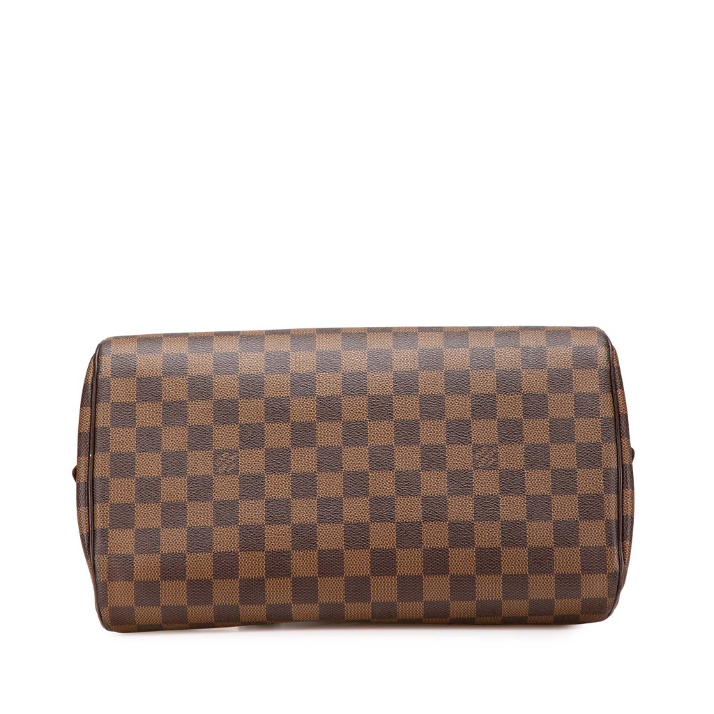 Louis Vuitton Damier Ebene Ribera MM - Image 6