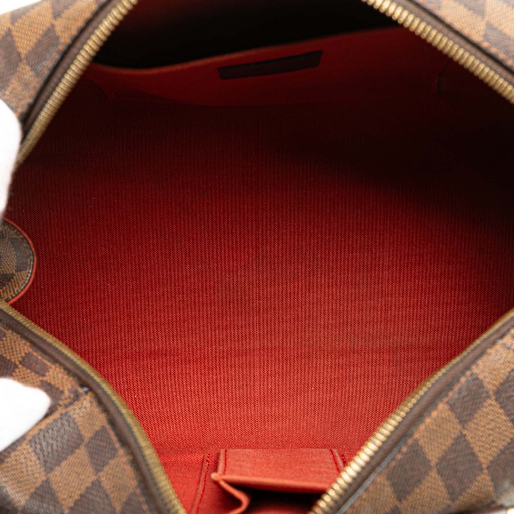 Louis Vuitton Damier Ebene Ribera MM - 4