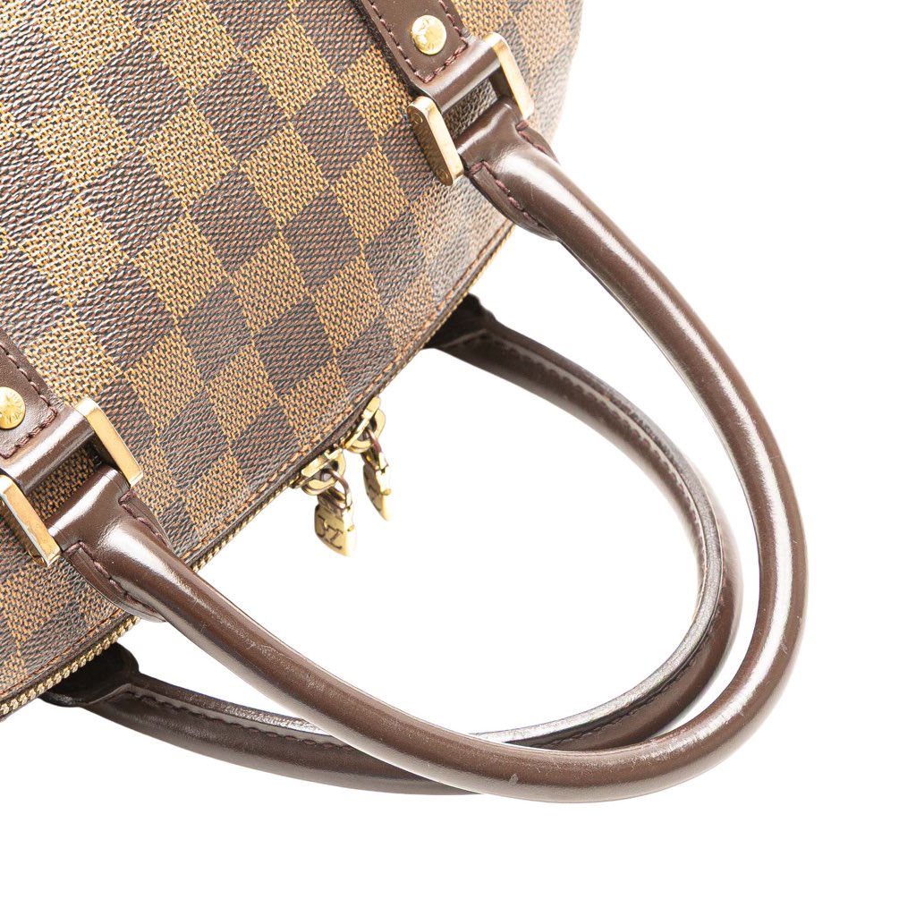 Louis Vuitton Damier Ebene Ribera MM - Image 12