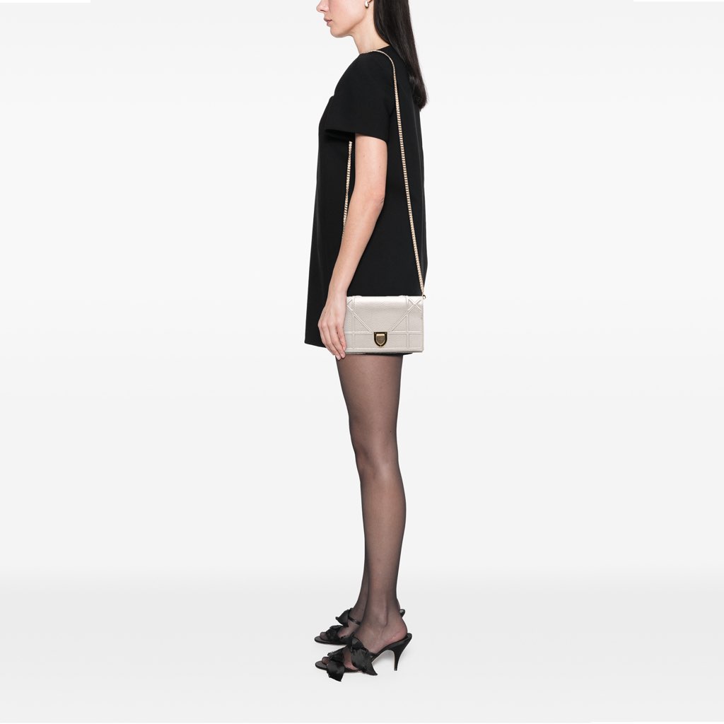 Dior Metallic Grained Calfskin Diorama Wallet On Chain - Image 13