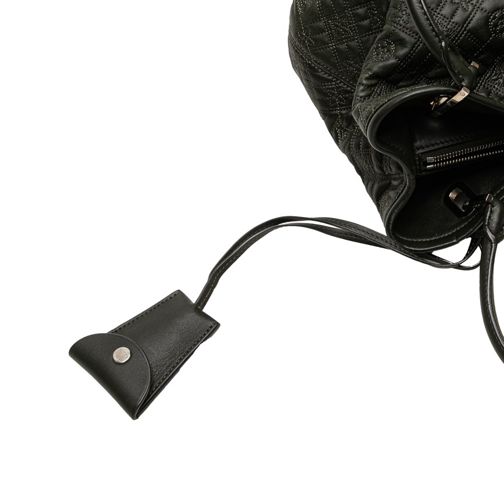 Louis Vuitton Monogram Lambskin Antheia Lilia PM - Image 12