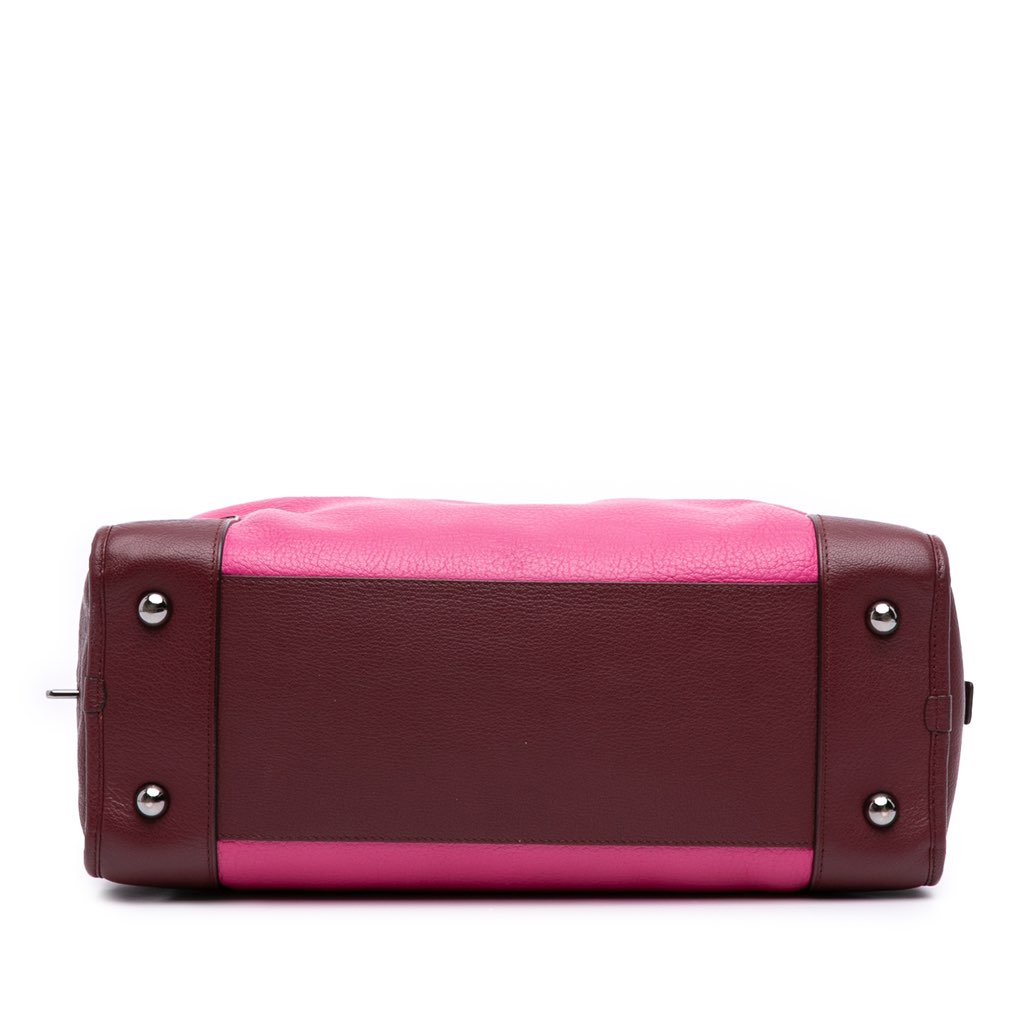 Loewe Tricolor Goatskin Amazona 36 - 3