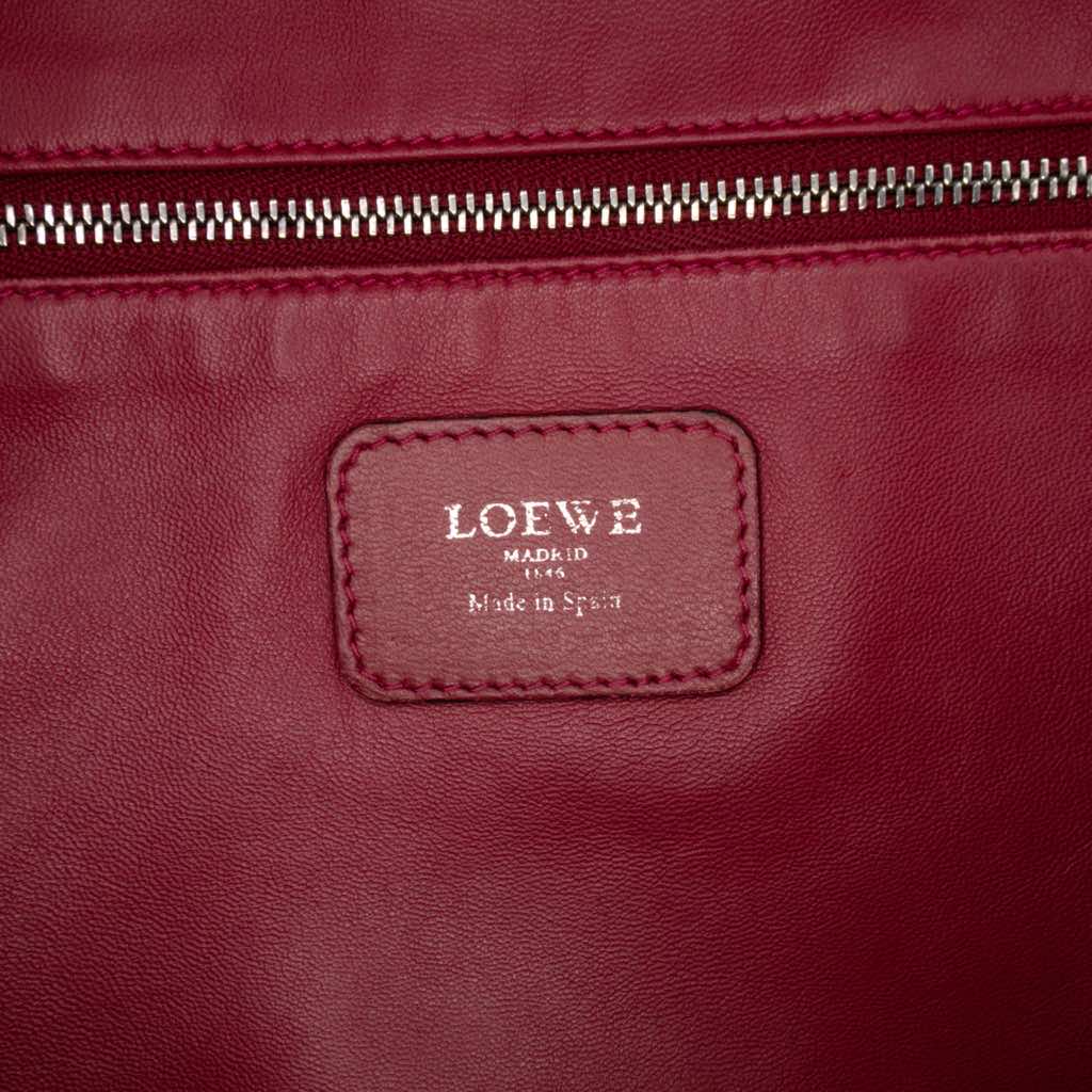 Loewe Tricolor Leather Amazona 36 - 5