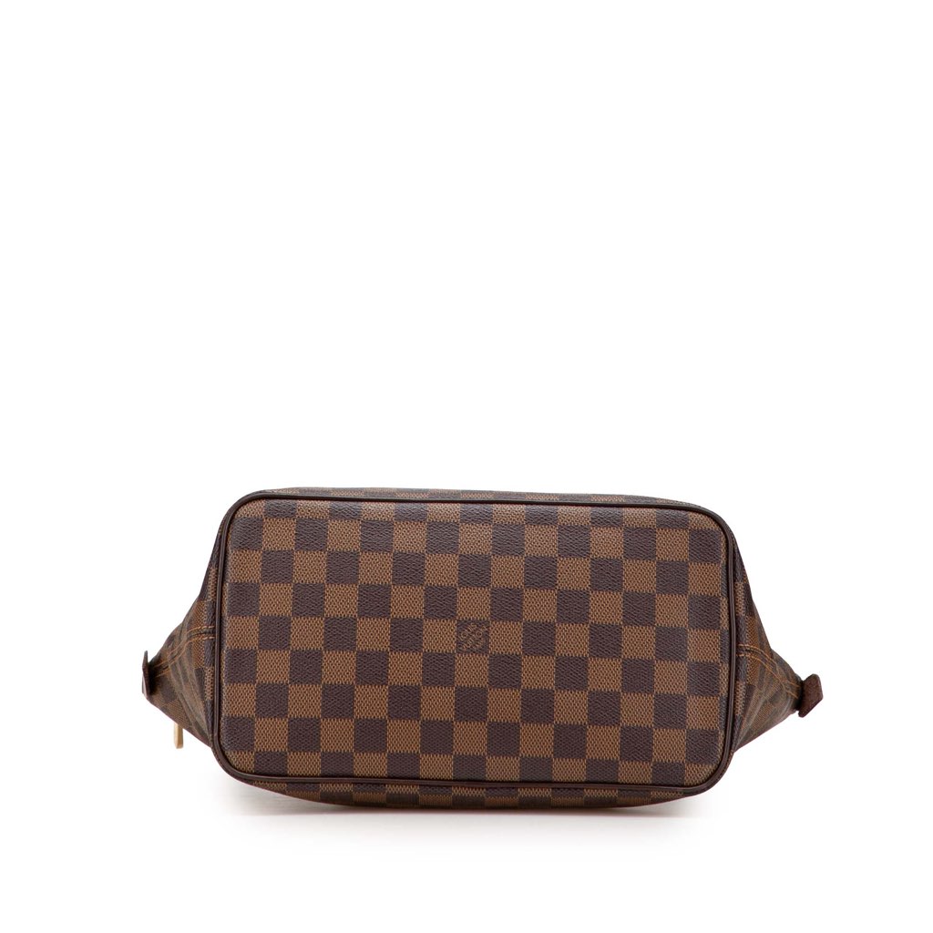 Louis Vuitton Damier Ebene Saleya PM - 3