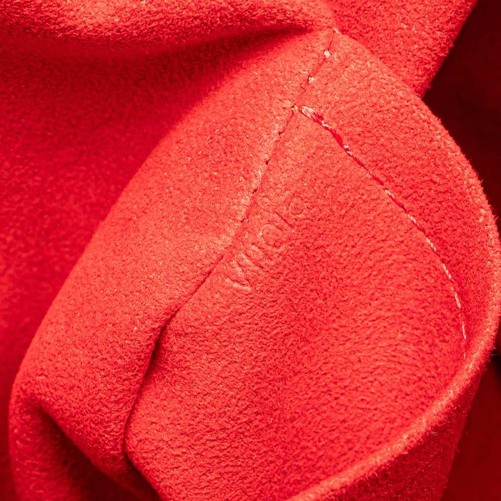 Louis Vuitton Damier Ebene Saleya PM - 5