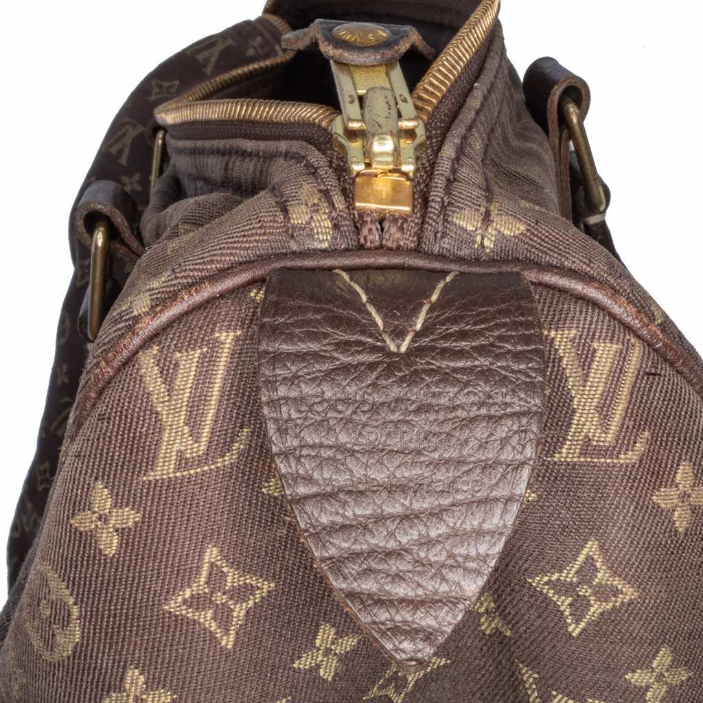 Louis Vuitton Monogram Mini Lin Speedy 30 - 5