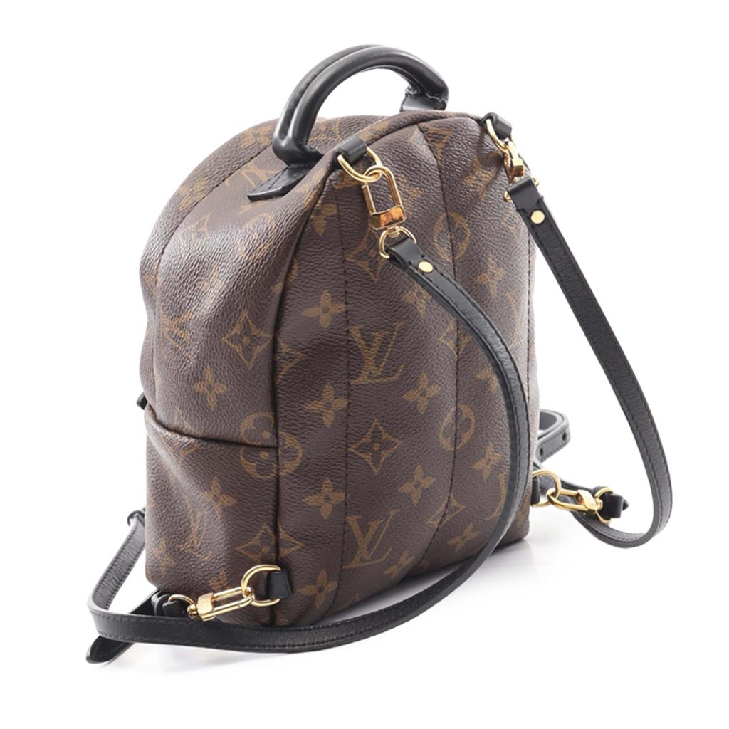 Louis Vuitton Monogram Mini Palm Springs - 2