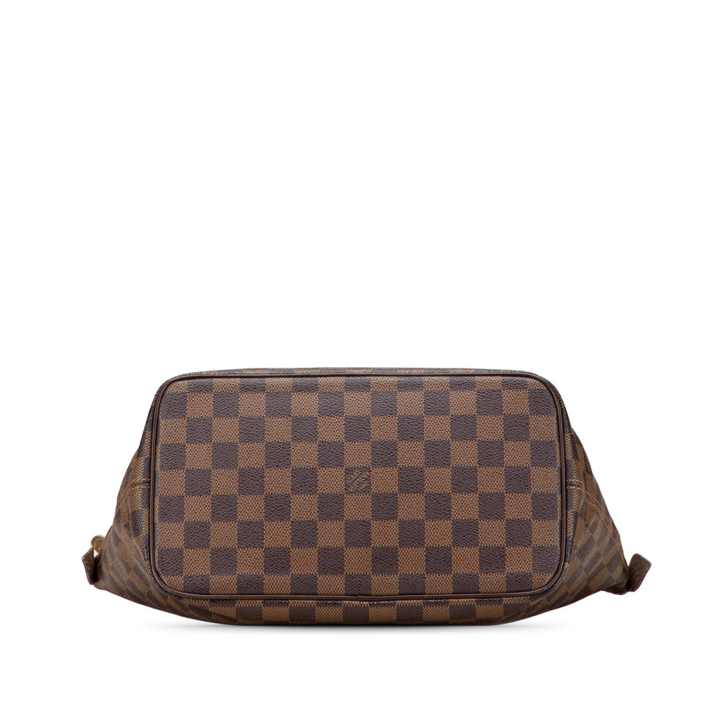 Louis Vuitton Damier Ebene Saleya PM - 3