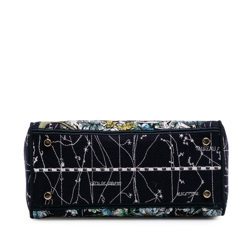 Dior Medium Canvas Embroidered Zodiac Lady D Lite - 3