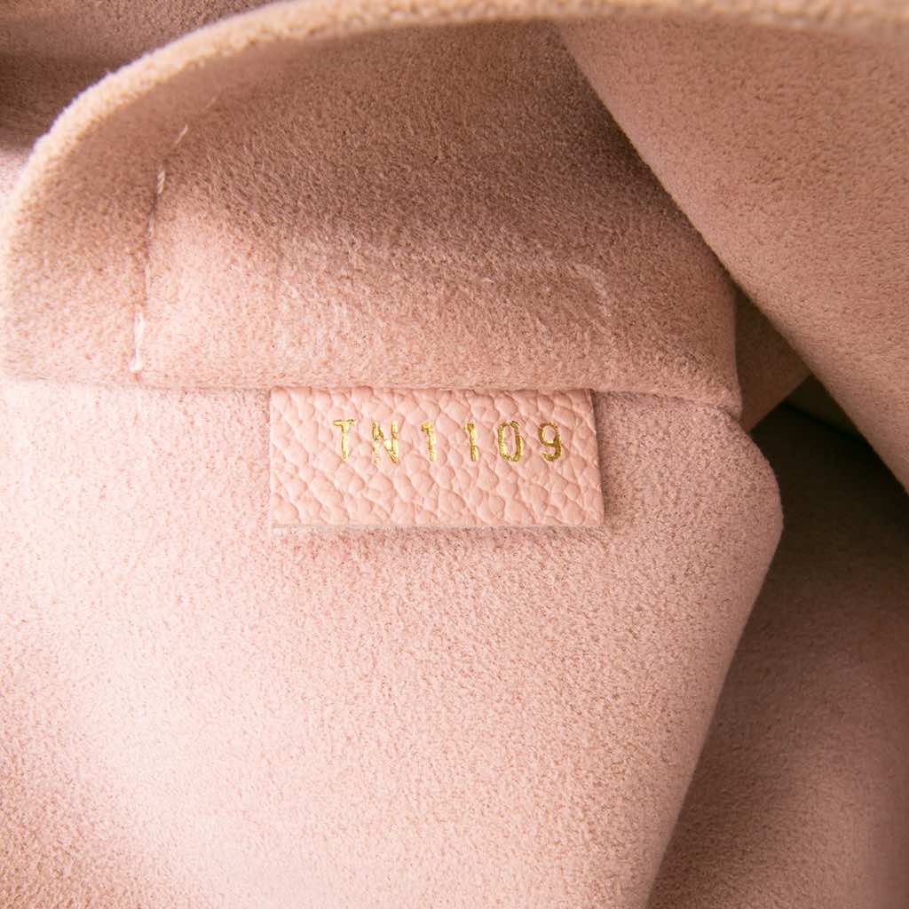 Louis Vuitton Monogram Daily Pouch - Detail 1