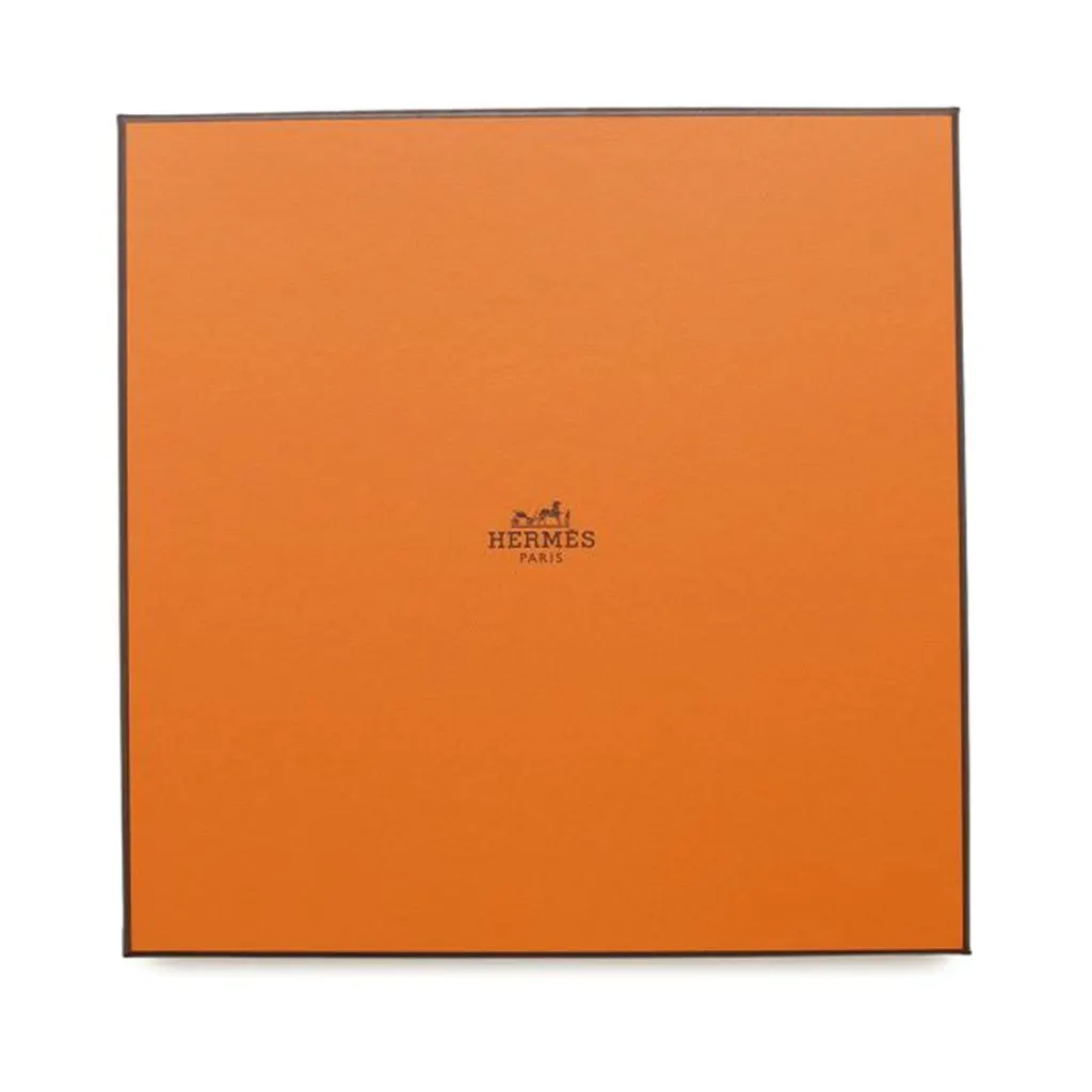 Hermès Gavroche Chevaloscope Neon Pointille Silk Scarf Blue Silk Good - Box View