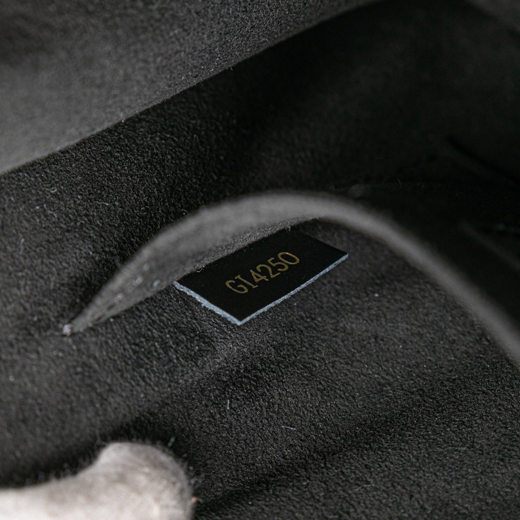 Louis Vuitton Monogram Since 1854 Dauphine MM - Detail 1