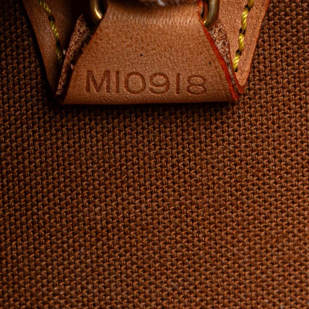 Louis Vuitton Monogram Ellipse PM - Detail 1