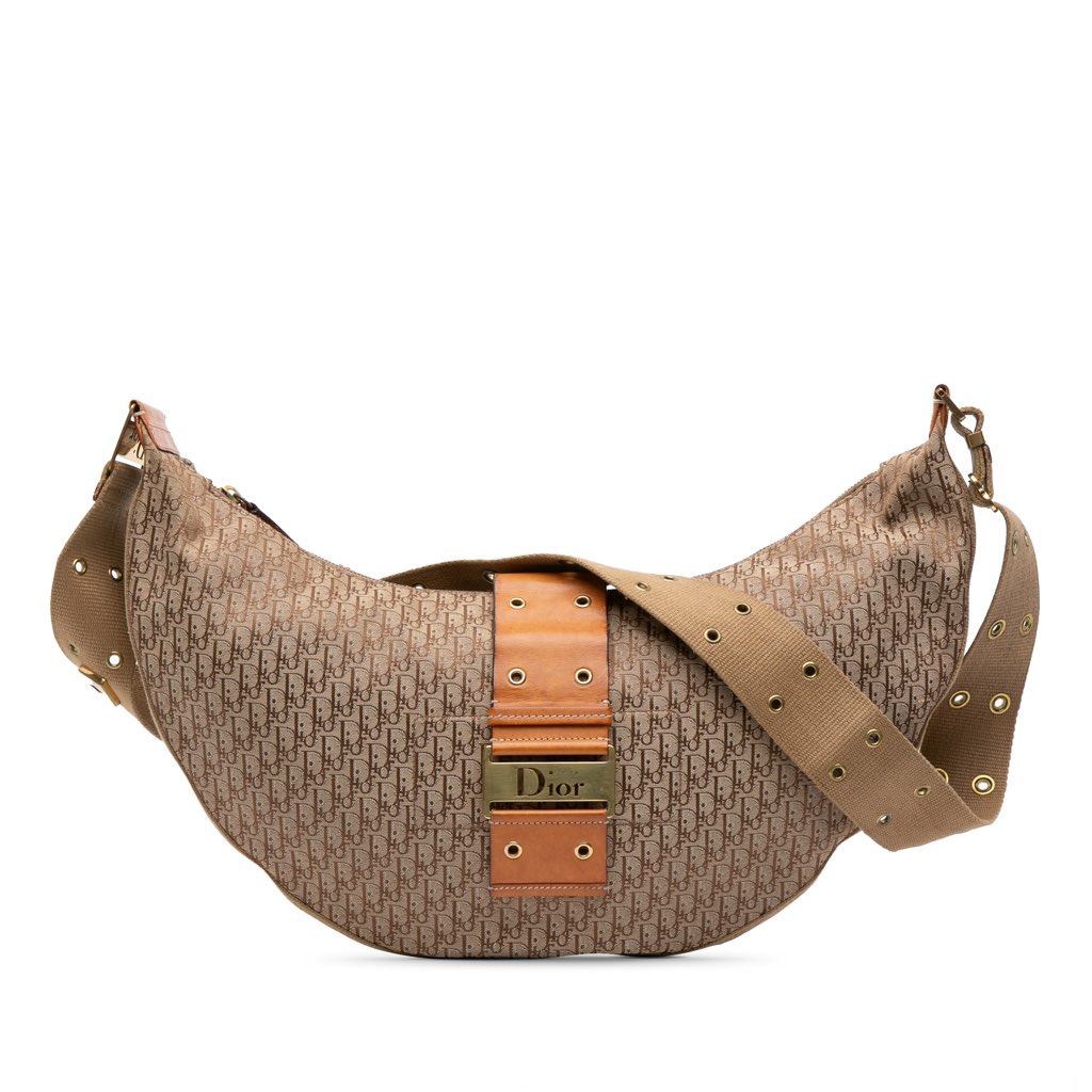 Dior Diorissimo Trotter Canvas Street Chic Hobo