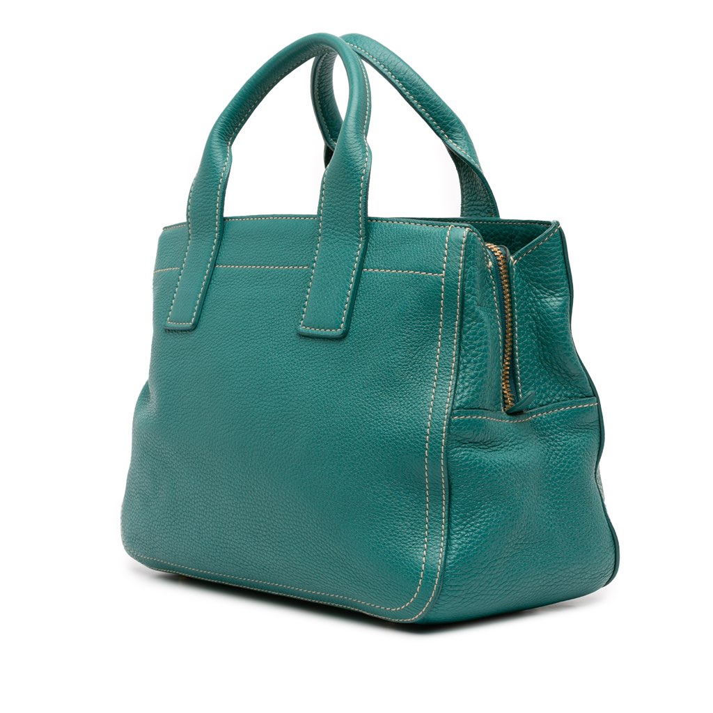 Miu Miu Vitello Caribou Satchel - Back view