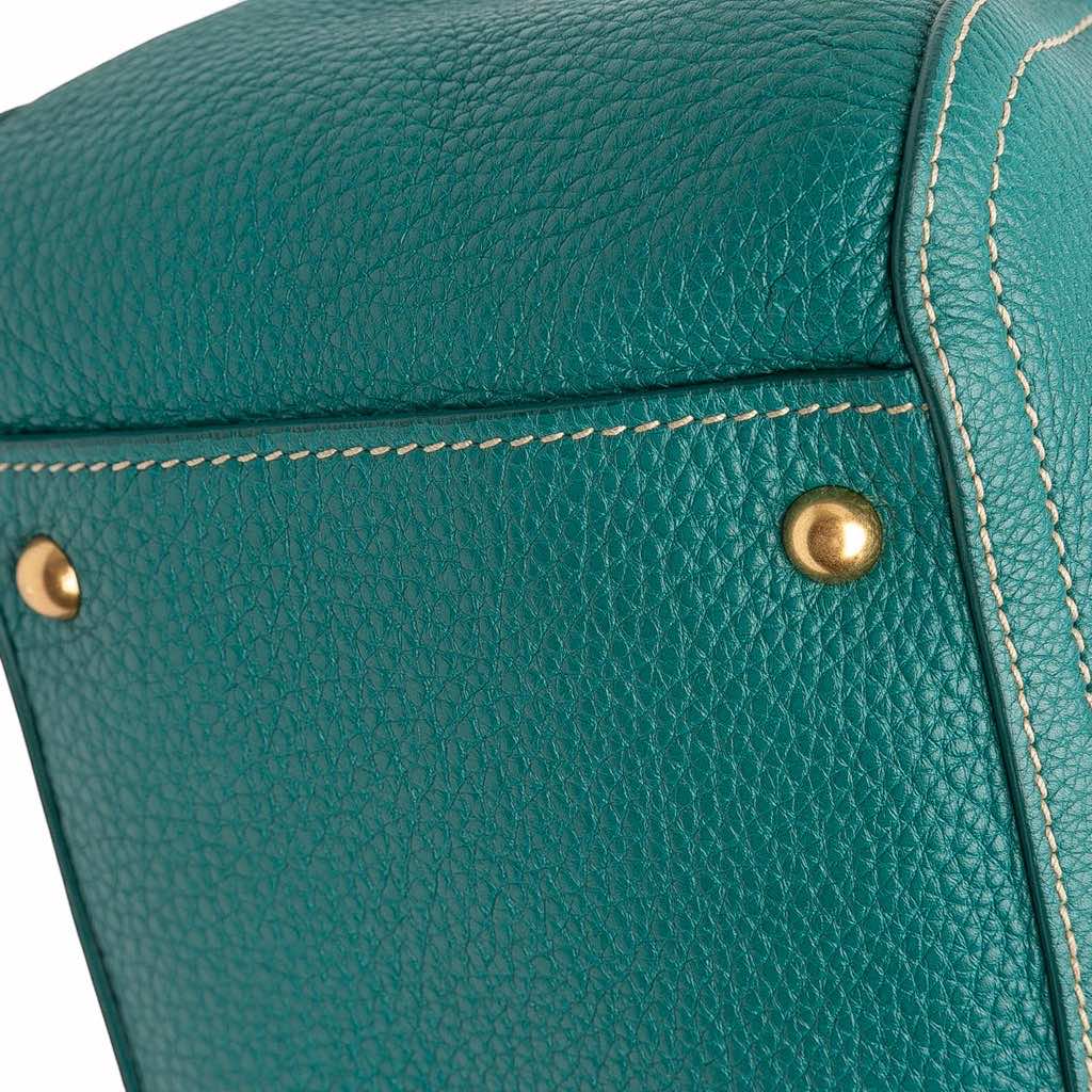Miu Miu Vitello Caribou Satchel - Detail 2