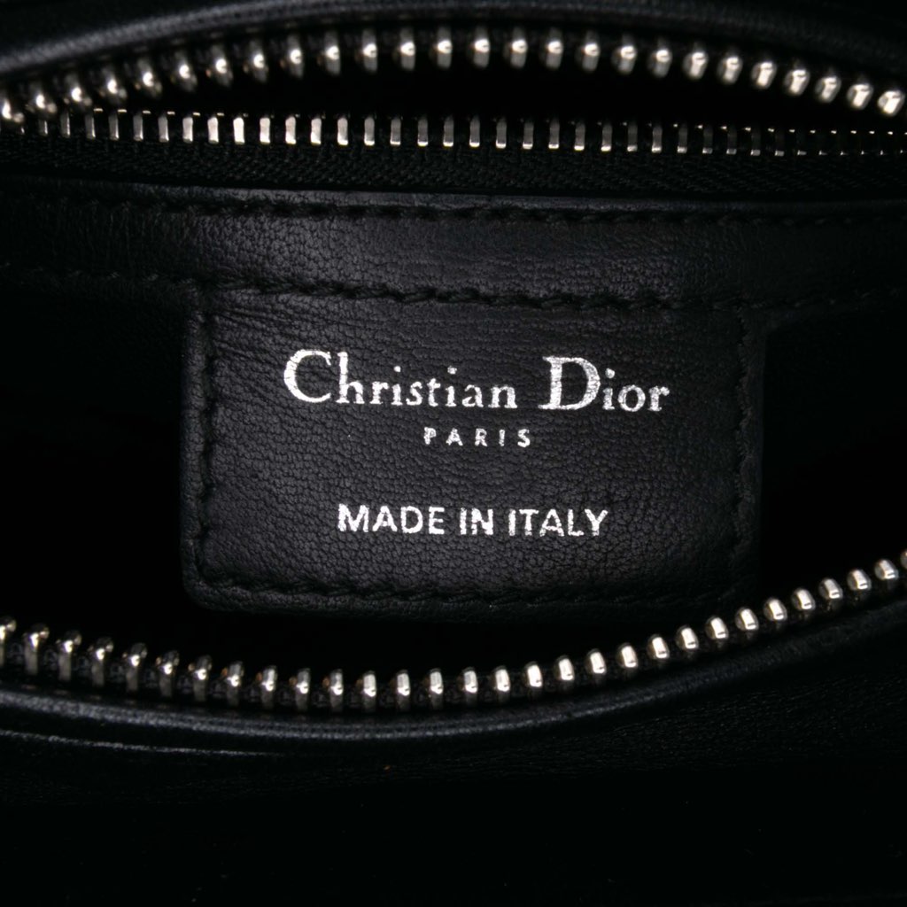 Dior Medium Calfskin Sequin Art Lady Dior - 5