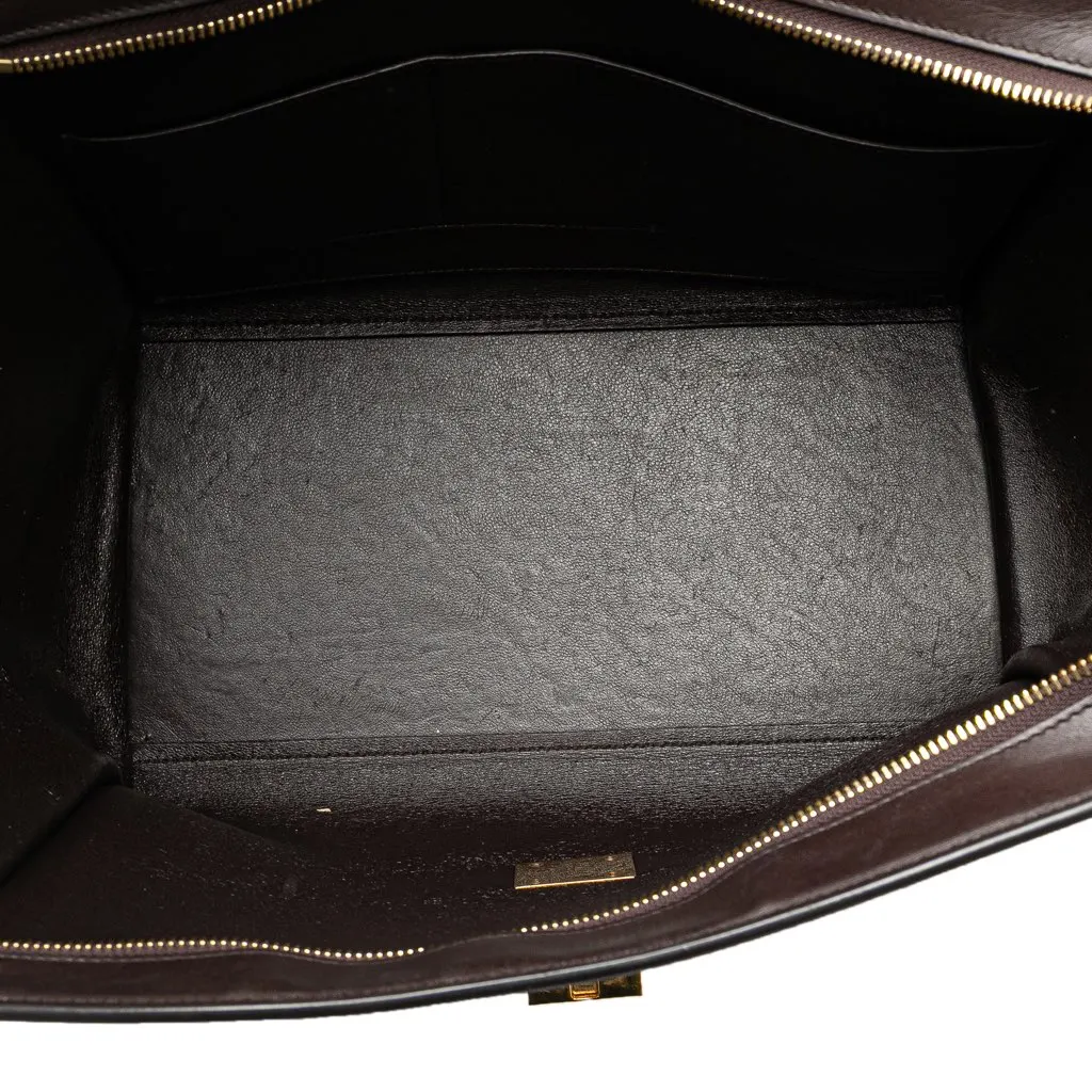 Celine Medium Tricolor Leather Trapeze Satchel Brown Leather Good - Model View