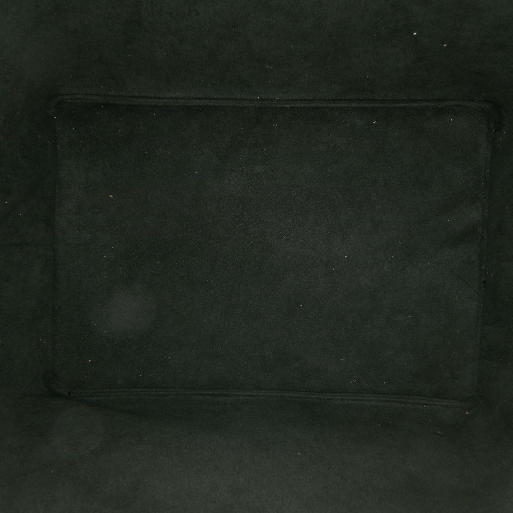 Louis Vuitton Epi Petit Bicolor Noe - 4