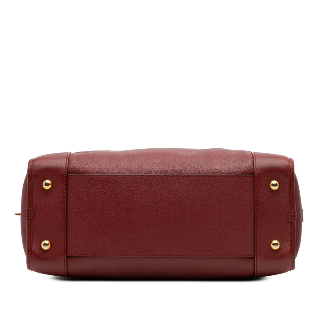 Loewe Limited Edition Year of the Dragon Leather Amazona 36 - 3