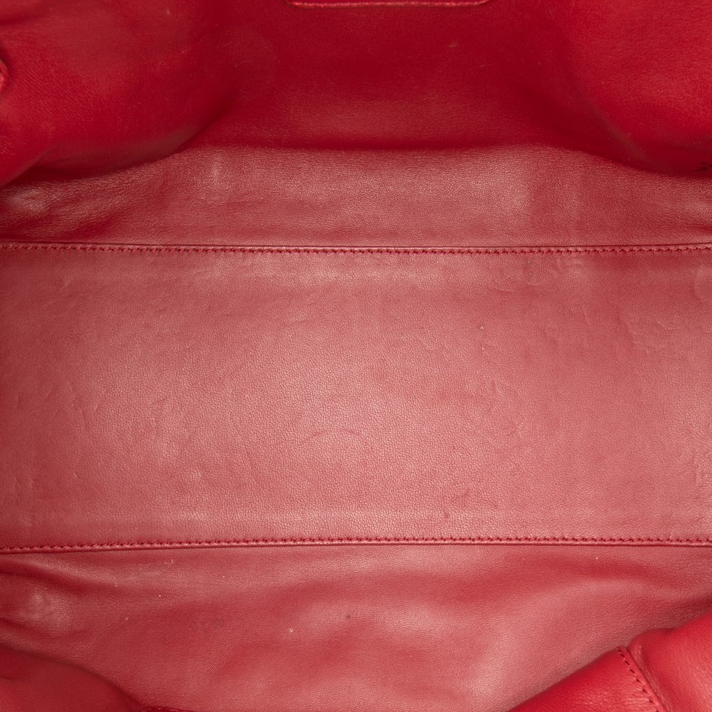 Loewe Limited Edition Year of the Dragon Leather Amazona 36 - 4