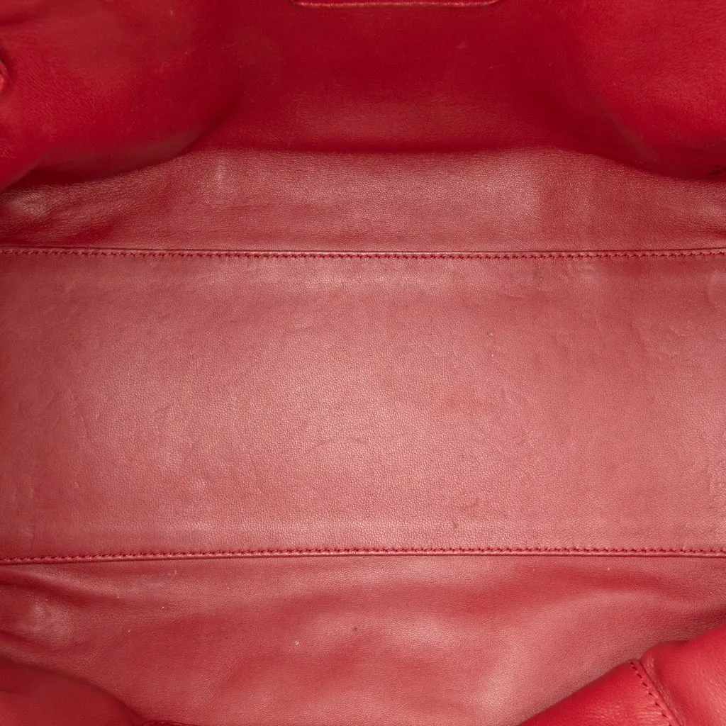 Loewe Limited Edition Year of the Dragon Leather Amazona 36 Red Leather Good - Model View
