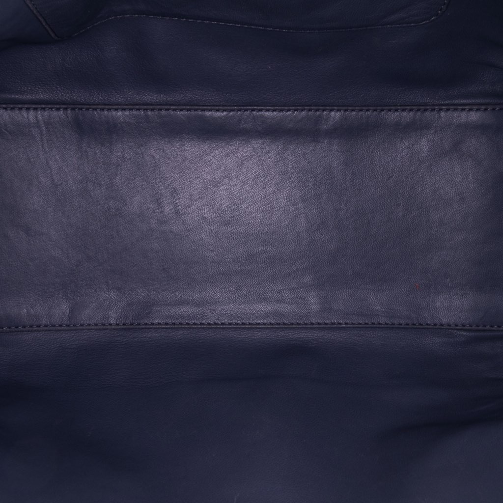 Loewe Goatskin Amazona 36 - 4