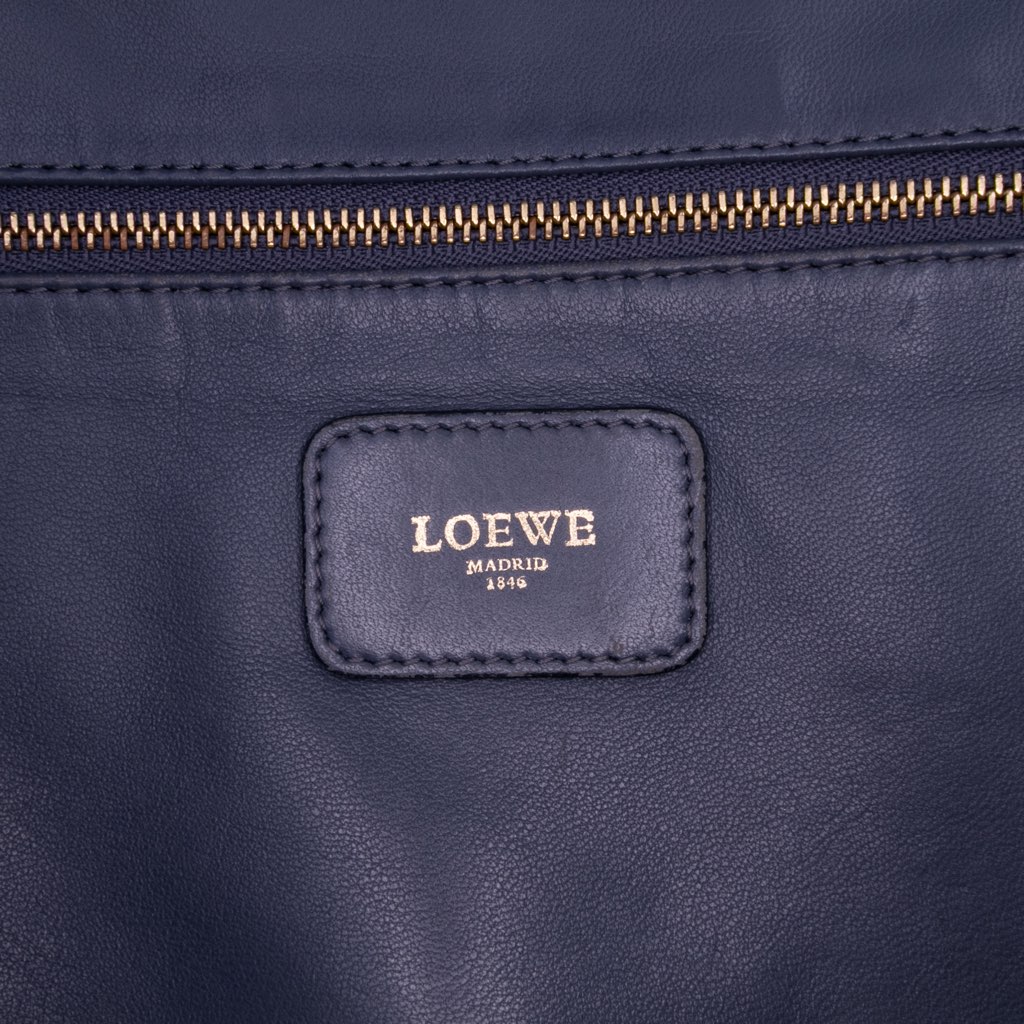 Loewe Goatskin Amazona 36 - 5