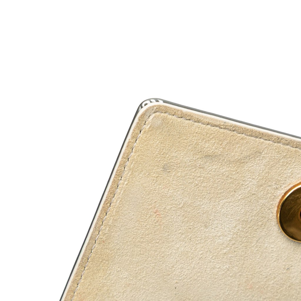 Dior Metallic Studded Calfskin Vertical Diorama - Image 12