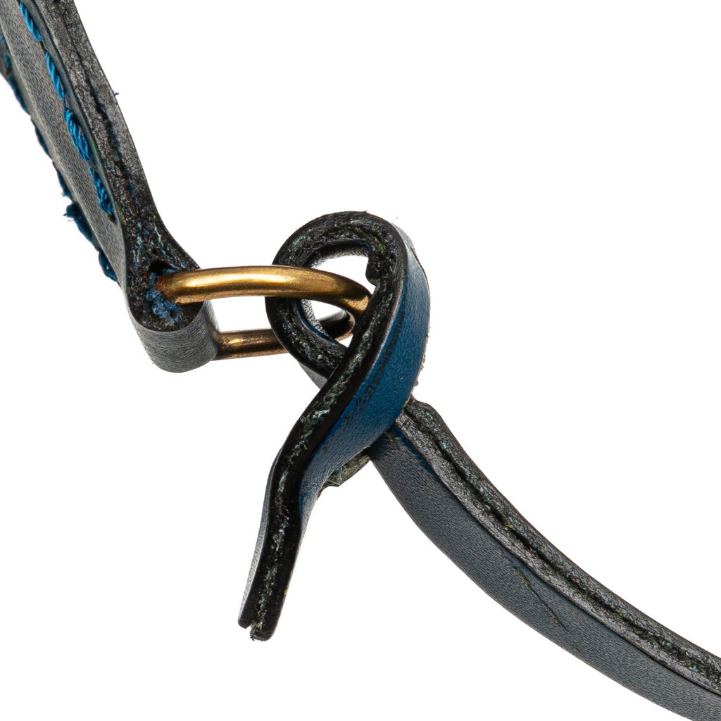 Louis Vuitton Epi Pochette Accessoires - Image 12