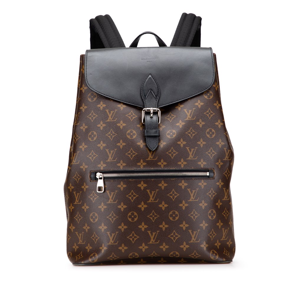 Louis Vuitton Monogram Macassar Palk Backpack