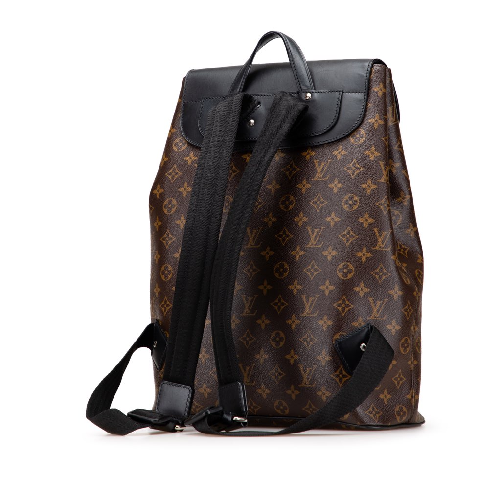 Louis Vuitton Monogram Macassar Palk Backpack - Back view