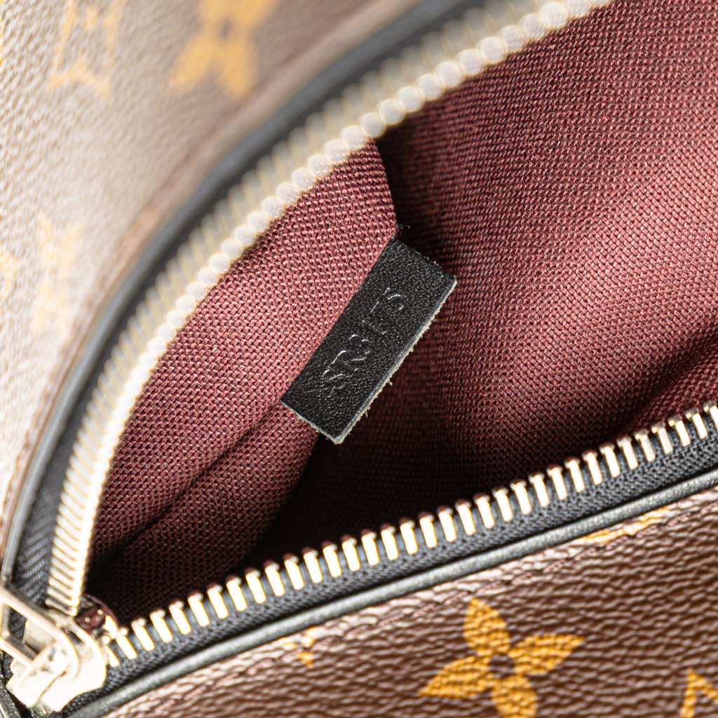 Louis Vuitton Monogram Macassar Palk Backpack - Detail 1