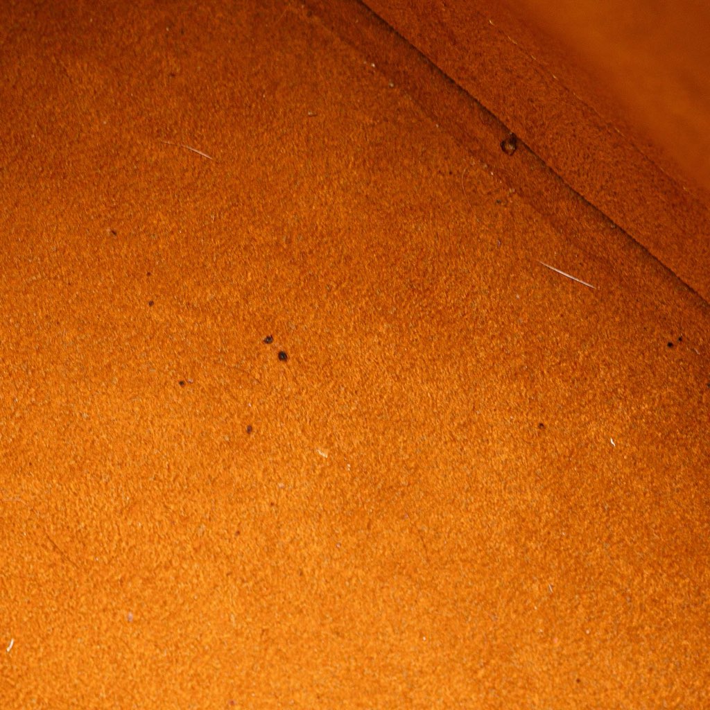 Louis Vuitton Epi Alma PM - Image 10