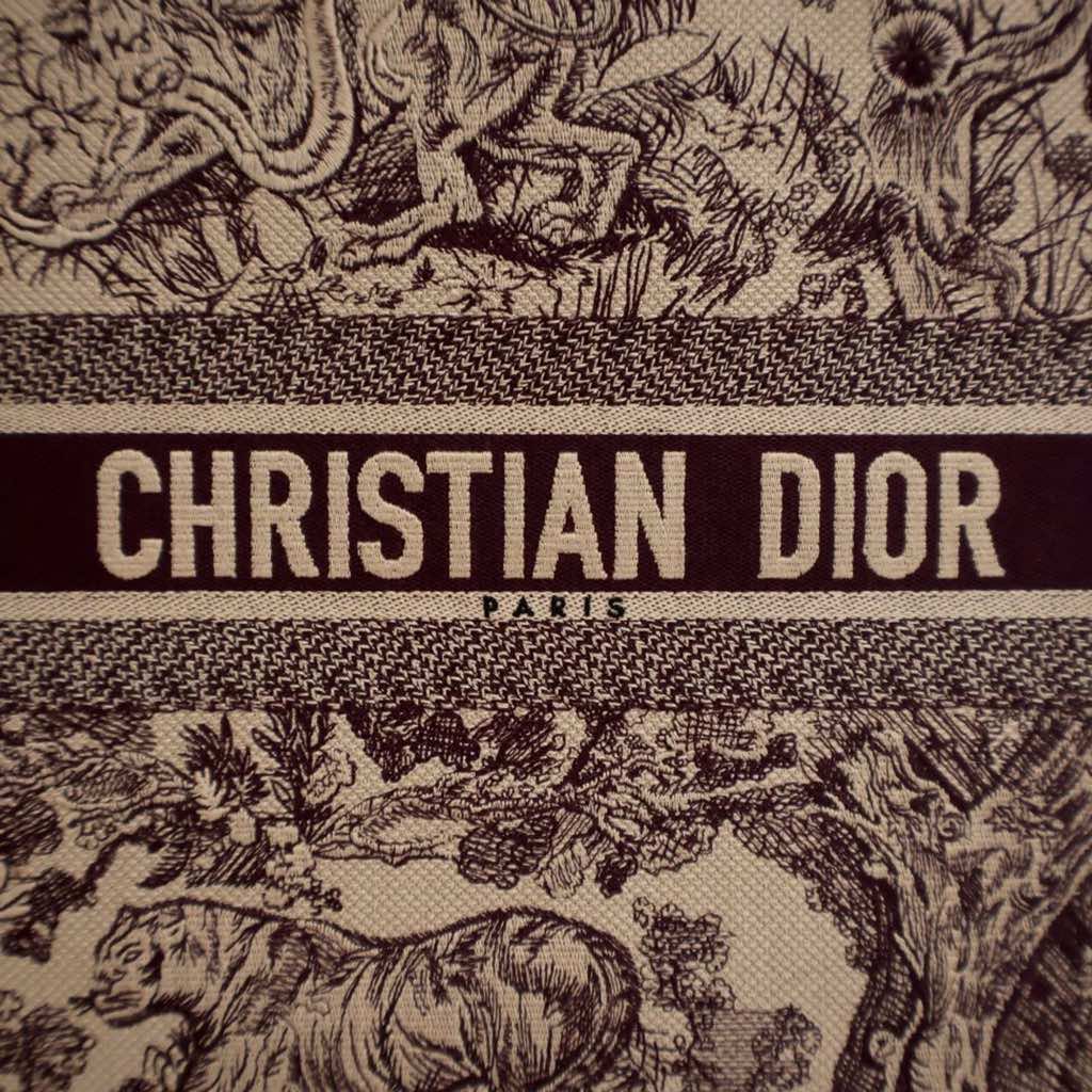 Dior Large Canvas Embroidered Dioriviera Toile De Jouy Book Tote - 5