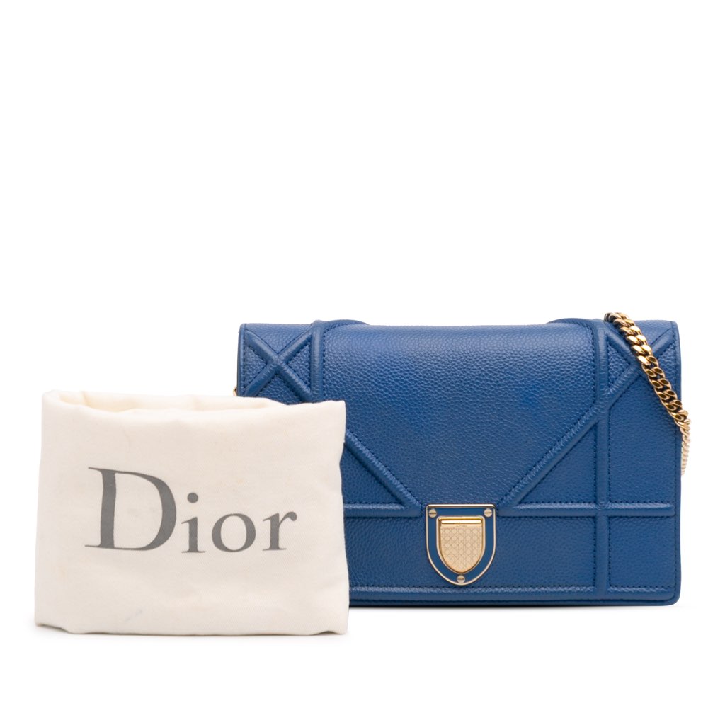 Dior Grained Calfskin Diorama Wallet on Chain - Image 13