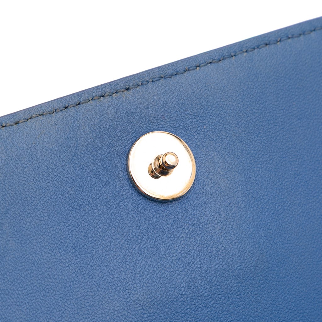 Dior Grained Calfskin Diorama Wallet on Chain - Image 11