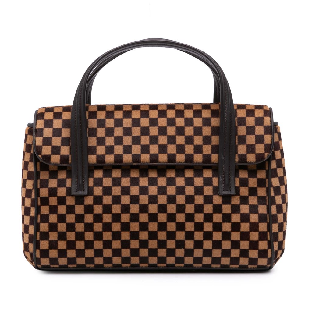 Louis Vuitton Damier Sauvage Lionne