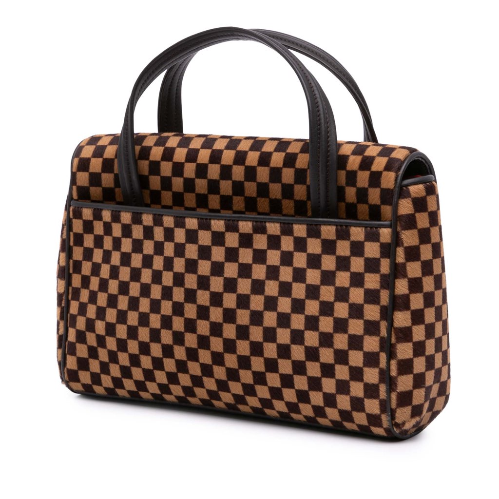 Louis Vuitton Damier Sauvage Lionne - Back view